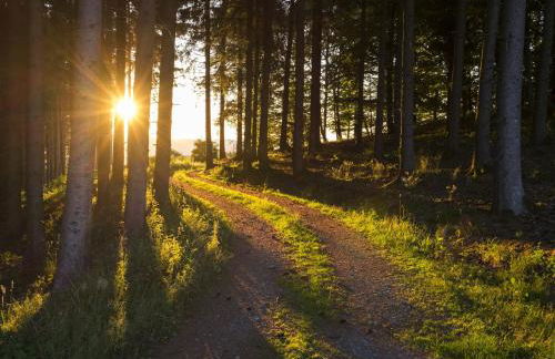 ATEMPAUSE Sauerland - Foto 17