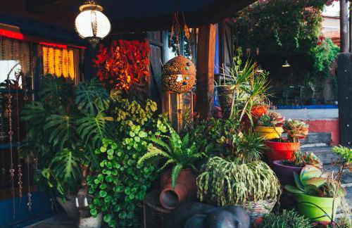 Entre Olivos: Very Charming Villa 18 SLEEPERS - Photo 28