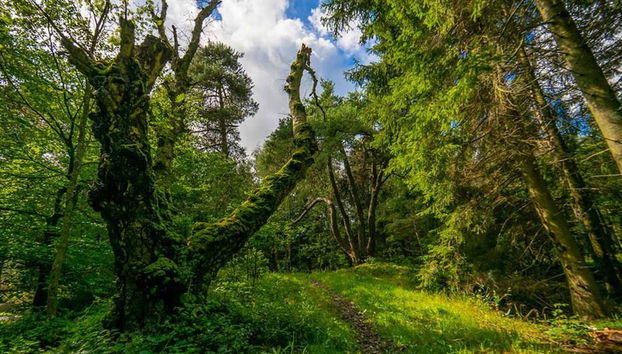 4 Person Holiday Home in Nexo - Foto 3, Miscelánea