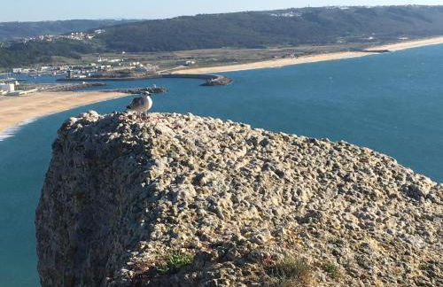 Sitio Ocean Views - Foto 50