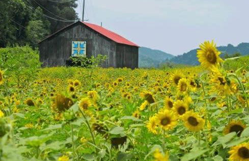 Broadview, River, Golf Course, Games, free Attraction Tickets, WIFI!!! - Foto 35