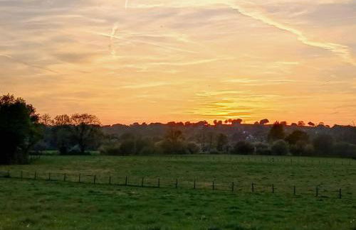 Rosie - Uk49025 - Foto 17