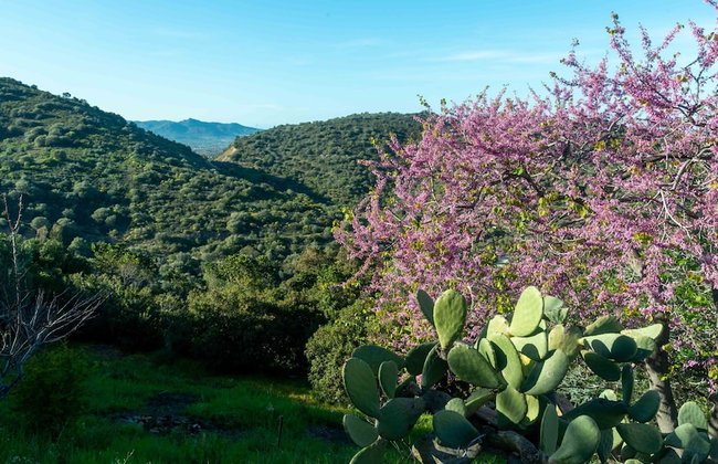 Casa Cedro in Luddui - Foto 84
