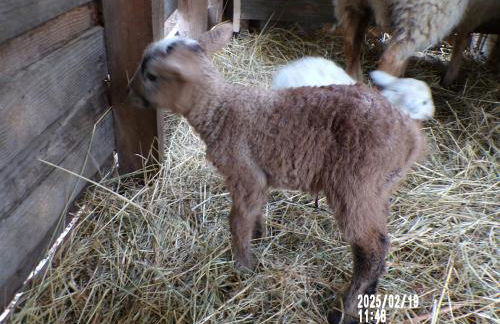 Gîte le Relais de la Cavayere - Foto 24