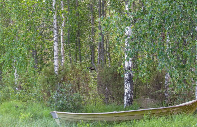 Pilkkaniemi - Foto 40