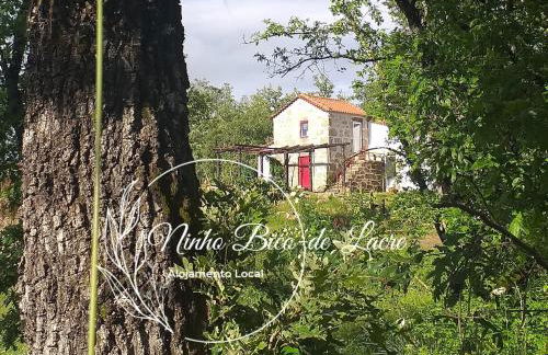 Ninho Bico-de-Lacre ~ o paraíso é a/na Terra - Foto 1