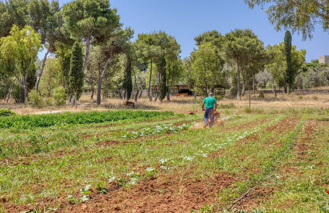 BioMasseria Santa Lucia - Photo 59