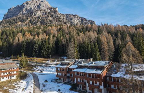 Petit Cirsio - Foto 18