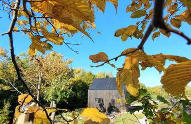 Schody do wody Domek z linią brzegową Kaszuby sauna goraca balia - Foto 65