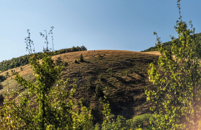 Apartments Eibenthal - Foto 47