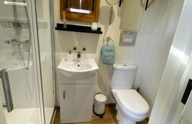 Shepherds Hut in the Hills - Nr. Mold - Foto 9