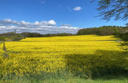 Schöne Wohnung mit Garten beim Outletcenter 5 km - Foto 47