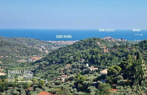 Barbara tra gli Ulivi - Foto 34