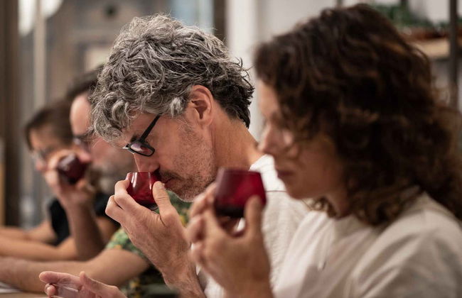 Visite guidée dans Cazorla + Dégustation d'huile d'olive - Foto 8