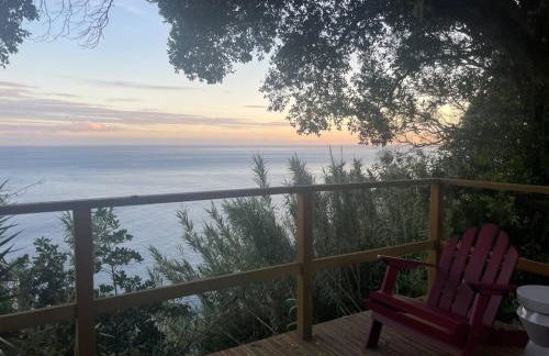 House in Ponta Garça - Photo 13