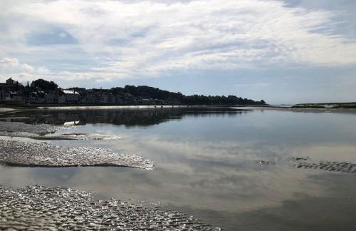 La Muche Valéricaine, coeur de ville, jardin - Foto 12