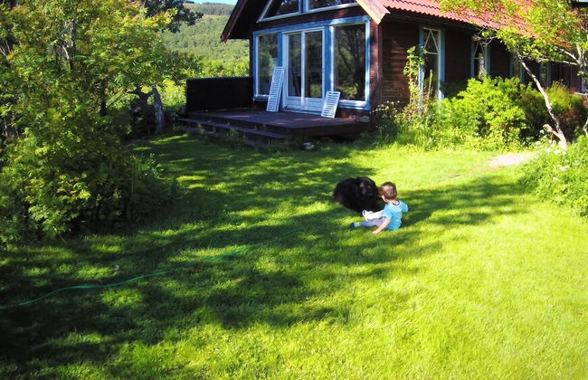 Bø Art Studio - Foto 28