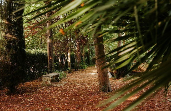 Villa Millefiori - Villa Millefiori - Photo 14