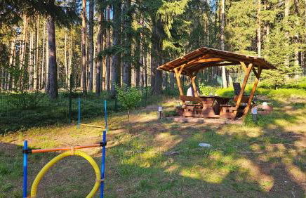 Thüringer Waldbaude - Foto 17