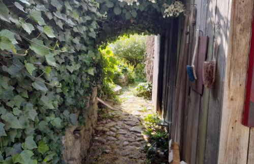 Im Naturgarten - Foto 31