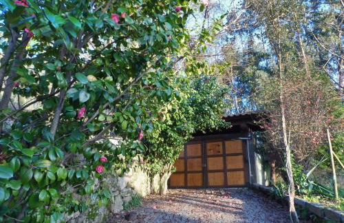 Quinta da Tapada - Foto 44