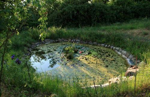 Casina Di Cornia - Foto 26