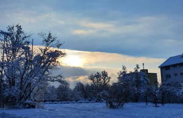 Wohnung im Schwarzwald mit Panorama Blick - Foto 39