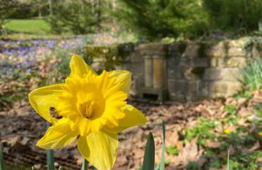 Manoir et Appartements avec piscine au Domaine de Bize Mirepoix - Foto 66