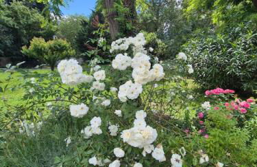 Sublime Mas de Lou à 15 minutes d'Arles - Foto 58