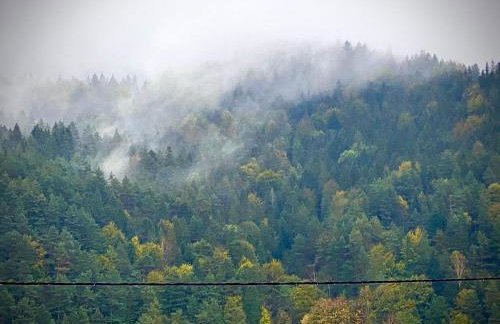 Apartamenty Piwniczna - Foto 75