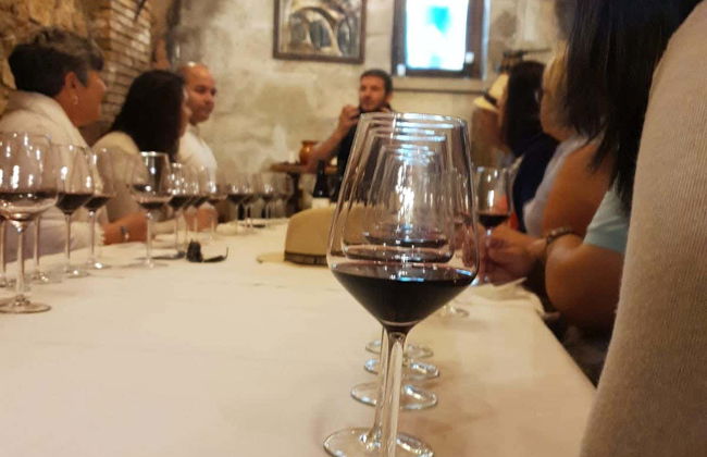 Visita a la Bodega Histórica Don Carlos con cata de vinos - Foto 6