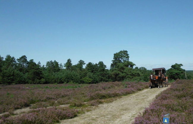 Holiday Home Hirtenkate Apartment 1 - Foto 11