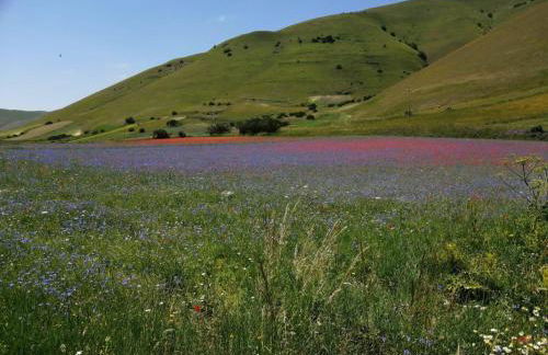 Antica Carbonaia di Norcia - Foto 13