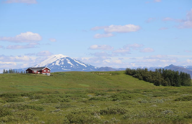 Guest House Svetlana - Foto 1