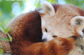 La maison des pêcheurs - Foto 30