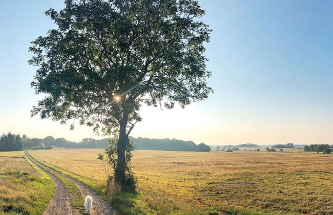 8 Person Holiday Home in Ostermarie - Foto 31