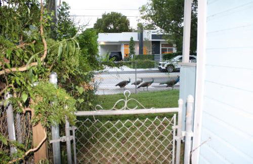 Key West Style Historic Home in Coconut Grove Florida, The Blue House - Foto 21