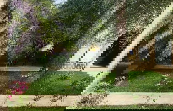 Tenuta Sidore - Photo 37