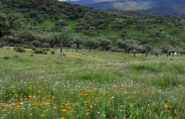 Casa de Piedras by SIERRA VIVA desing - Foto 25