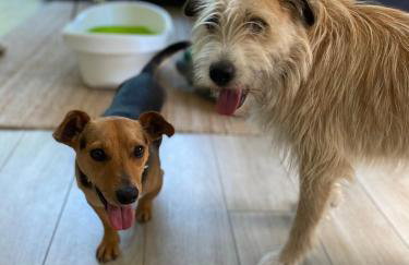 Calm House Krzynia - dom nad jeziorem do wynajęcia - Foto 61