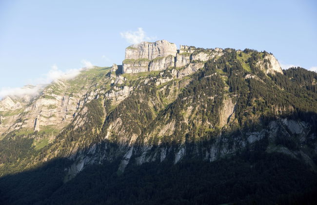 freiraum Apartments - Foto 44