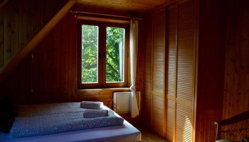 Rzeka i las - Foto 4