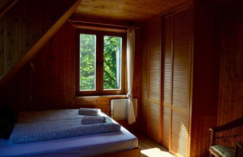 Rzeka i las - Photo 4