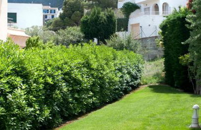 Apartament Les Tonyines - Foto 36