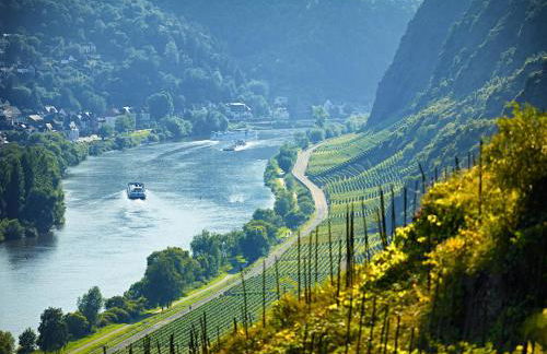 Ferienhaus Zenz - Ferienwohungen - Foto 22