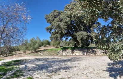 Elegant Villa in Granada with Pool and Garden - Foto 14