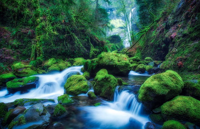 LA Nana DEL MAR Flat on the old Port of Cudillero - Photo 55