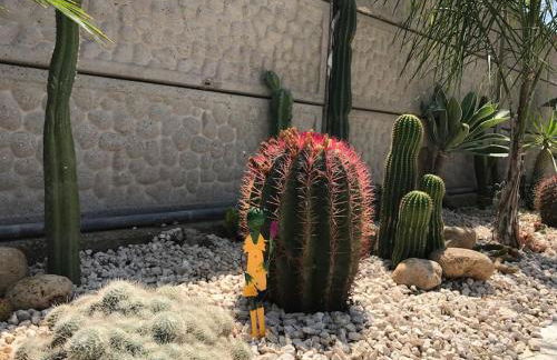 Scala dei Turchi The White Wall - Foto 28