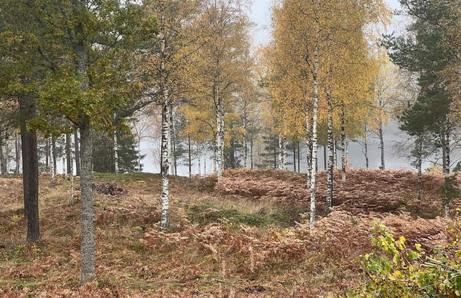 4 Person Holiday Home in Malmback - Foto 21