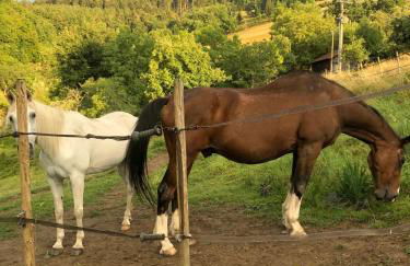 Maison pittoresque à Sainte-Croix-aux-Mines, vue sur la montagne - Foto 48